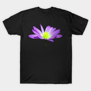purple blooming flower, flowers, garden, blooms, violet T-Shirt